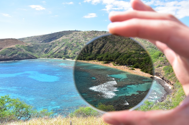 TALEXを通して見たハワイの景色 | STAFF BLOG