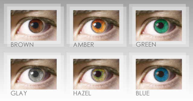 人によって瞳の色が違うのは何故 眩しさは変わるの Staff Blog